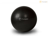 Transfiit Burst Resistant Balance Ball and Training Guide