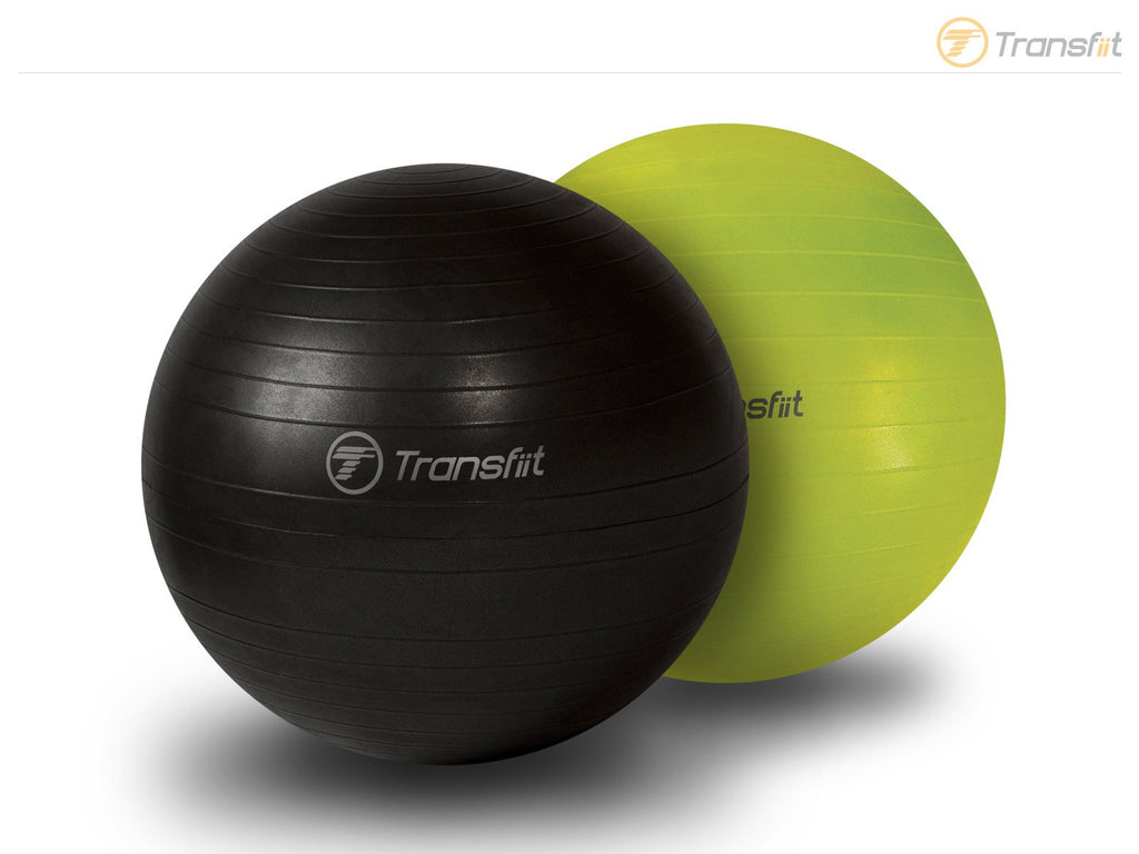 Transfiit Burst Resistant Balance Ball and Training Guide